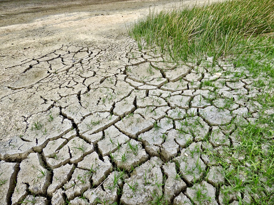 Los puntos clave para la ley de cambio climático que Chile necesita (Radio U. Chile)