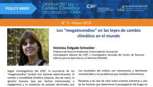Policy brief: Los “megaincendios” en las leyes de cambio climático en el mundo