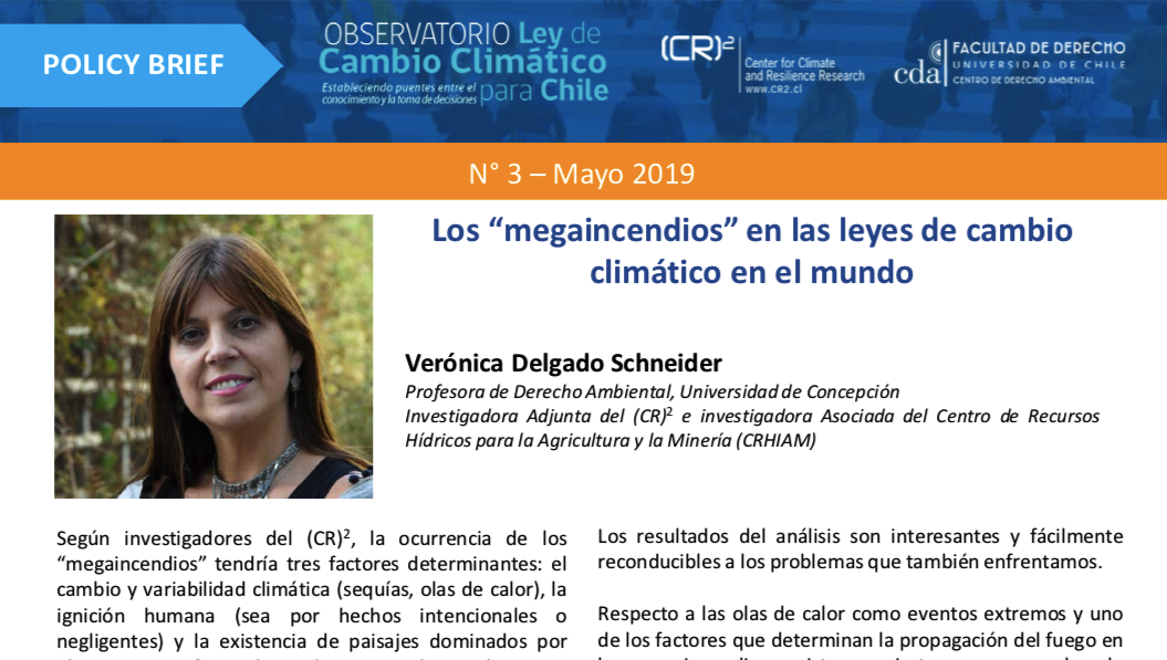 Policy brief: Los “megaincendios” en las leyes de cambio climático en el mundo
