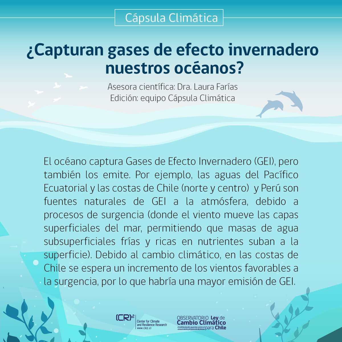 Cápsula climática: ¿Capturan gases de efecto invernadero nuestros océanos?