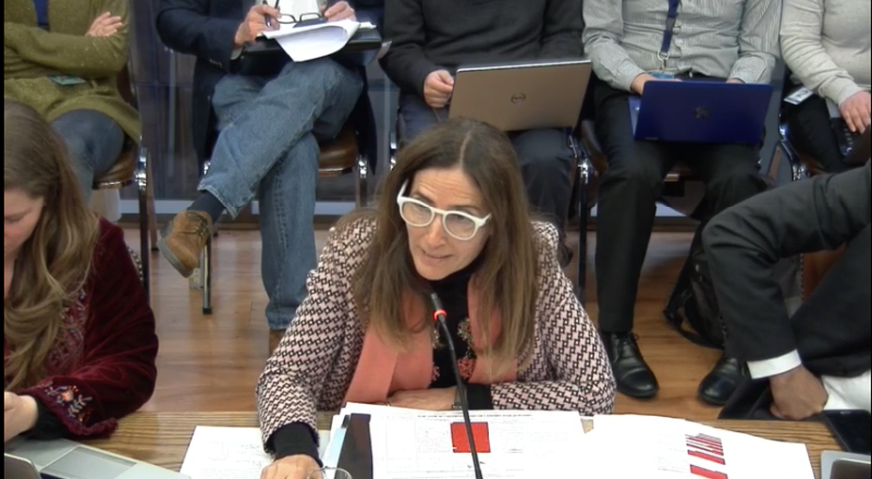Comisión de Medio Ambiente de la Cámara rechaza actualizar el concepto legal de cambio climático