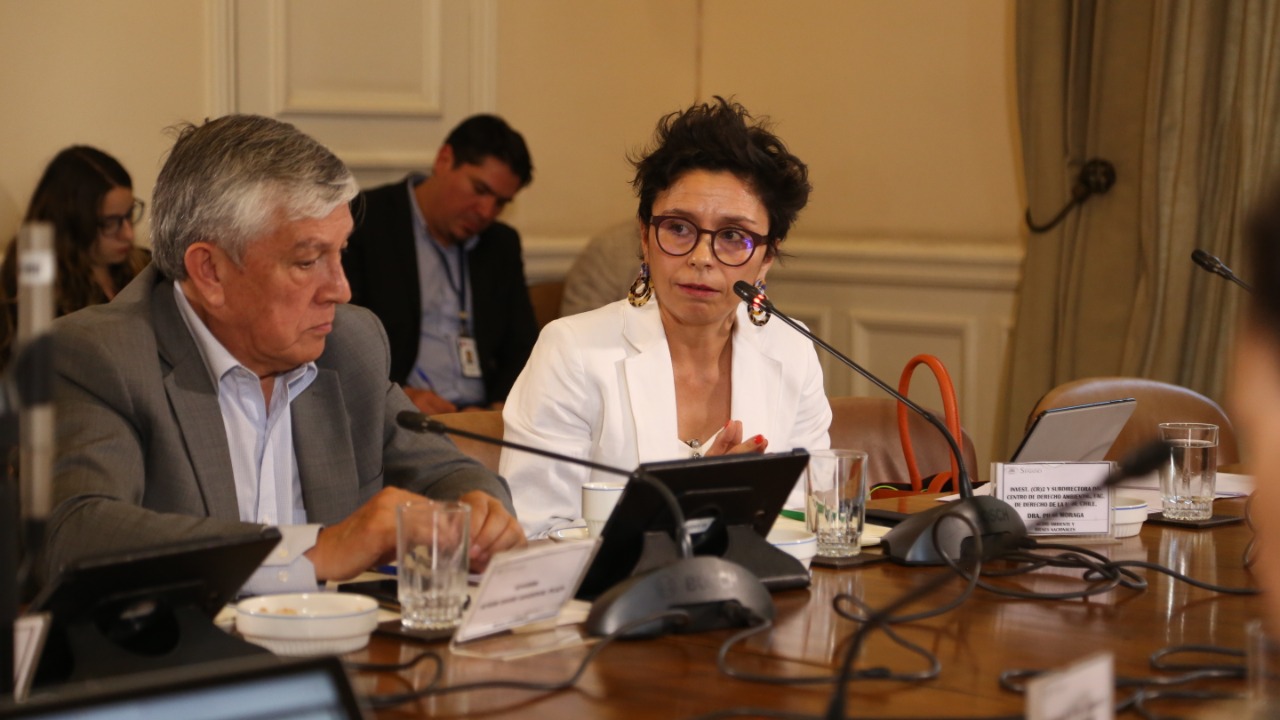 Senado Chile: Participación de Pilar Moraga sobre proyecto de Ley Cambio Climático en Comisión de de Medio Ambiente y Bienes Nacionales