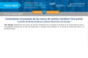 Policy brief | Comentarios al proyecto de Ley Marco de Cambio Climático (1ra parte)