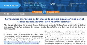 Policy brief | Comentarios al proyecto de Ley Marco de Cambio Climático (2da parte)
