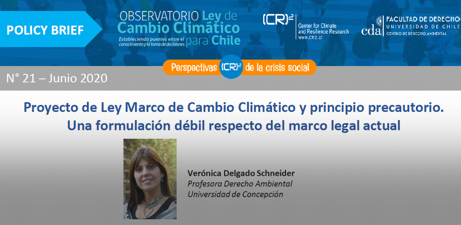 Policy brief | Proyecto de Ley Marco de Cambio Climático y principio precautorio. Una formulación débil respecto del marco legal actual