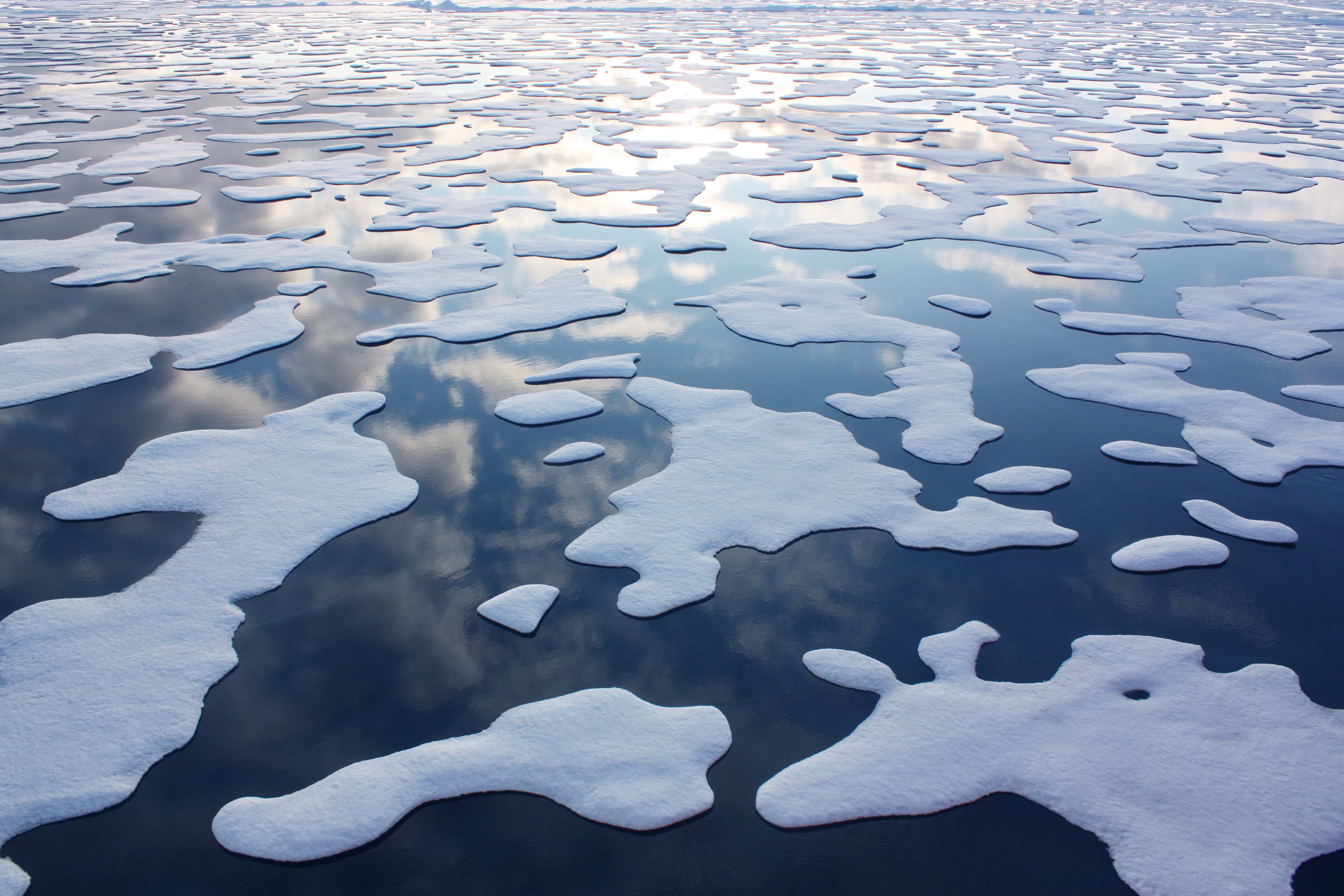 On July 20, the U.S. Coast Guard Cutter Healy steamed south in the Arctic Ocean toward the edge of the sea ice. Original from NASA . Digitally enhanced by rawpixel.
