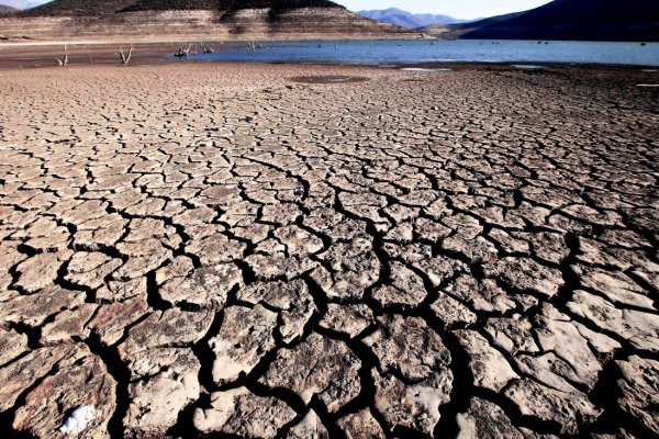 Comisión del Senado contará con asesoría científica del (CR)2 para revisar indicaciones al proyecto de Ley Marco de Cambio Climático (Diario Financiero)
