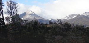 Policy brief | ¿Cómo aterrizamos algunos de los principios jurídicos del derecho ambiental a la Ley Marco de Cambio Climático?