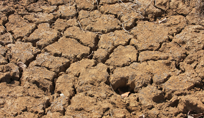 Boletín N°1 Nueva Constitución chilena y cambio climático | La emergencia climática