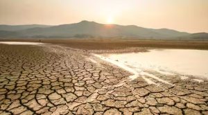 Antoine Maillet analiza el avance de los planes de acción regionales y comunales por la Ley Marco (Radio U. de Chile)