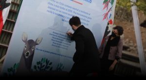 A tres años de la publicación de la Ley Marco de Cambio Climático. Evaluación del contenido de los Planes Sectoriales de Cambio Climático: ¿Cómo se están cumpliendo los estándares legales y reglamentarios?