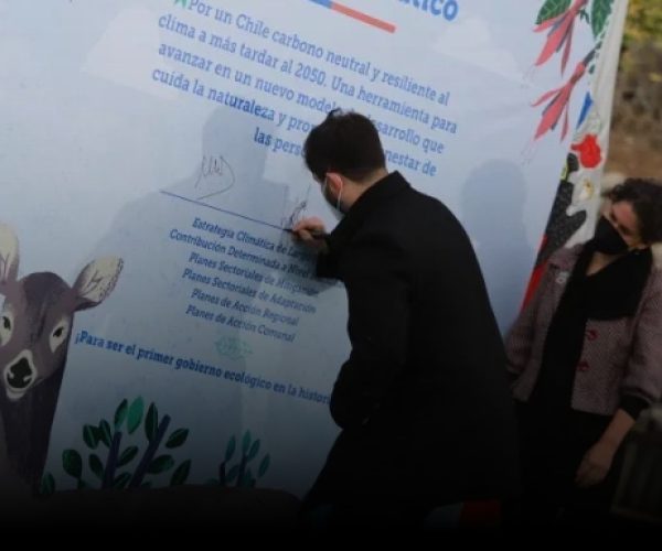 A tres años de la publicación de la Ley Marco de Cambio Climático. Evaluación del contenido de los Planes Sectoriales de Cambio Climático: ¿Cómo se están cumpliendo los estándares legales y reglamentarios?