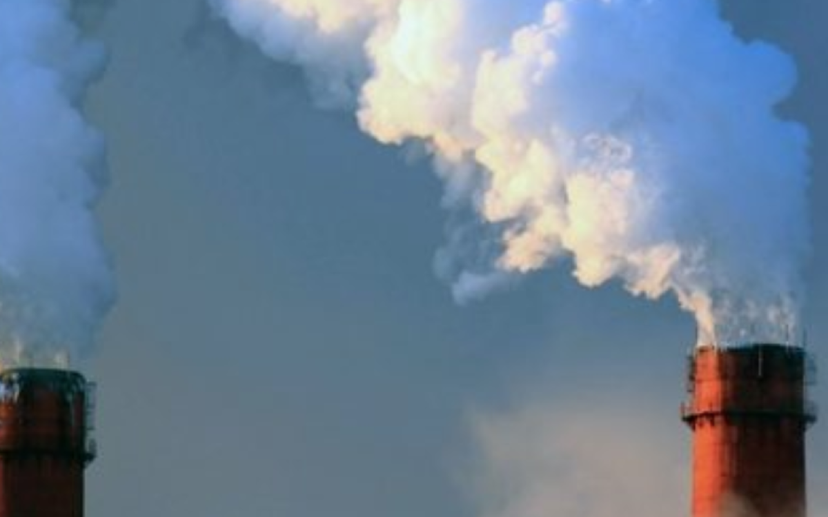 Medidas para Carbono Neutralidad