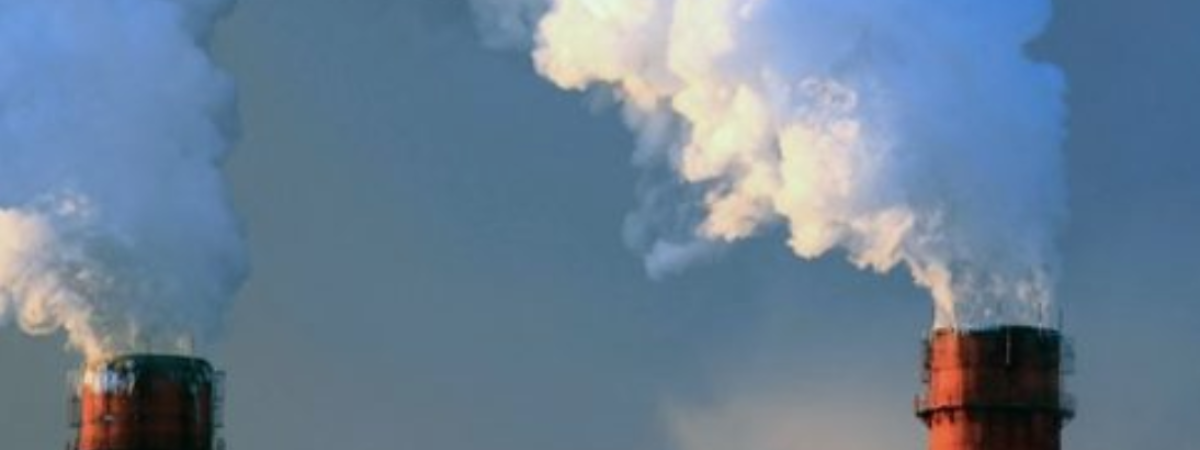 Medidas para Carbono Neutralidad